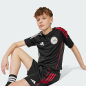 adidas Ajax Amsterdam Tiro 25 Competition Training Shorts