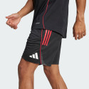 adidas Ajax Amsterdam Tiro 25 Competition Training Shorts