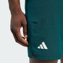 adidas Tennis Climacool Ergo Shorts
