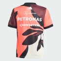 adidas Mercedes - Amg Petronas Formula One Team Driver Je
