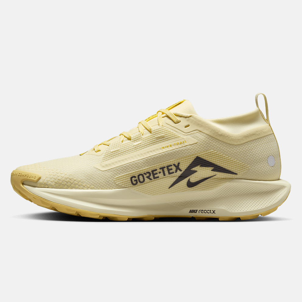 Nike Pegasus Trail 5 Gtx