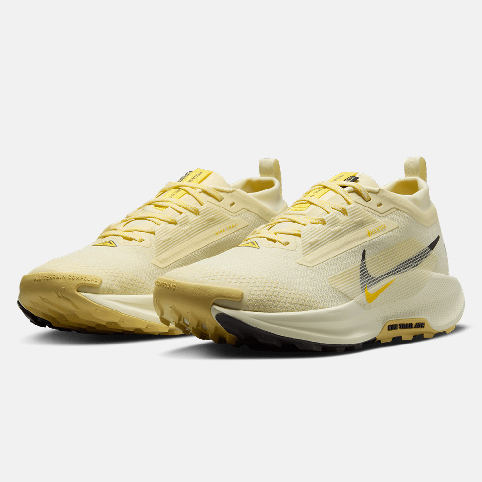 Nike Pegasus Trail 5 Gtx