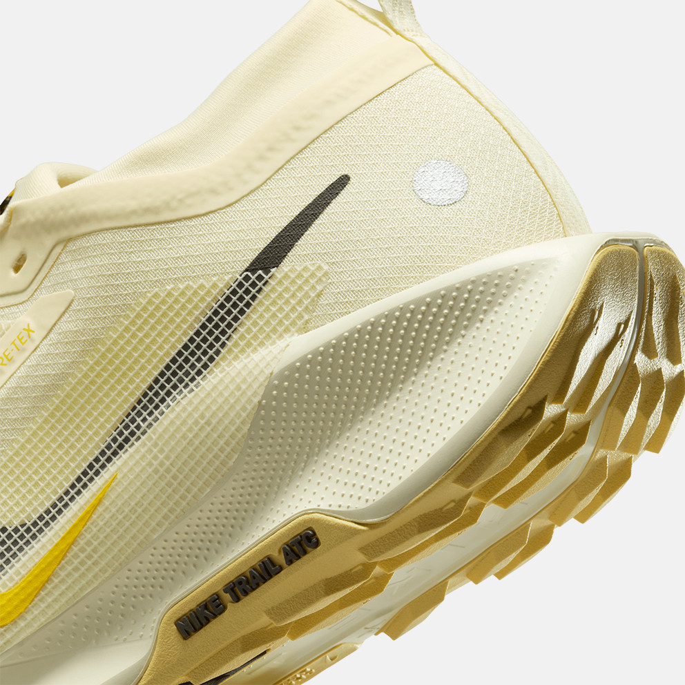 Nike Pegasus Trail 5 Gtx