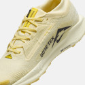 Nike Pegasus Trail 5 Gtx