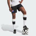 adidas Colo-Colo Anniversary Shorts