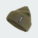 adidas-terrex-coldrdy-merino-beanie