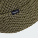 adidas Terrex Cold.Rdy Merino Beanie