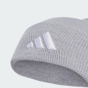 adidas New Log Bea Cuf