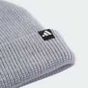 adidas sportswear Glove + Beanie Pack