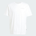 adidas Terrex Polygiene Graphic Tee