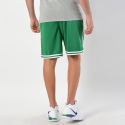 Nike NBA Boston Celtics Icon Edition Swingman Men's Shorts