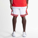 Nike Chicago Bulls Edition Swingman Nba Shorts