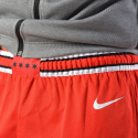 Nike NBA Chicago Bulls Icon Edition Swingman Ανδρικό Σορτς