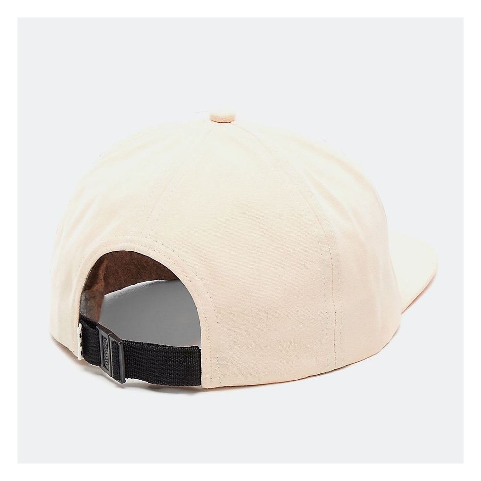 Vans Color Theory Hat (Unisex)
