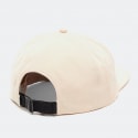 Vans Color Theory Hat (Unisex)