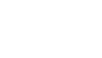 Black Friday vans